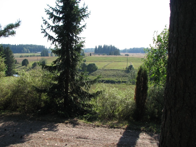 Maisema