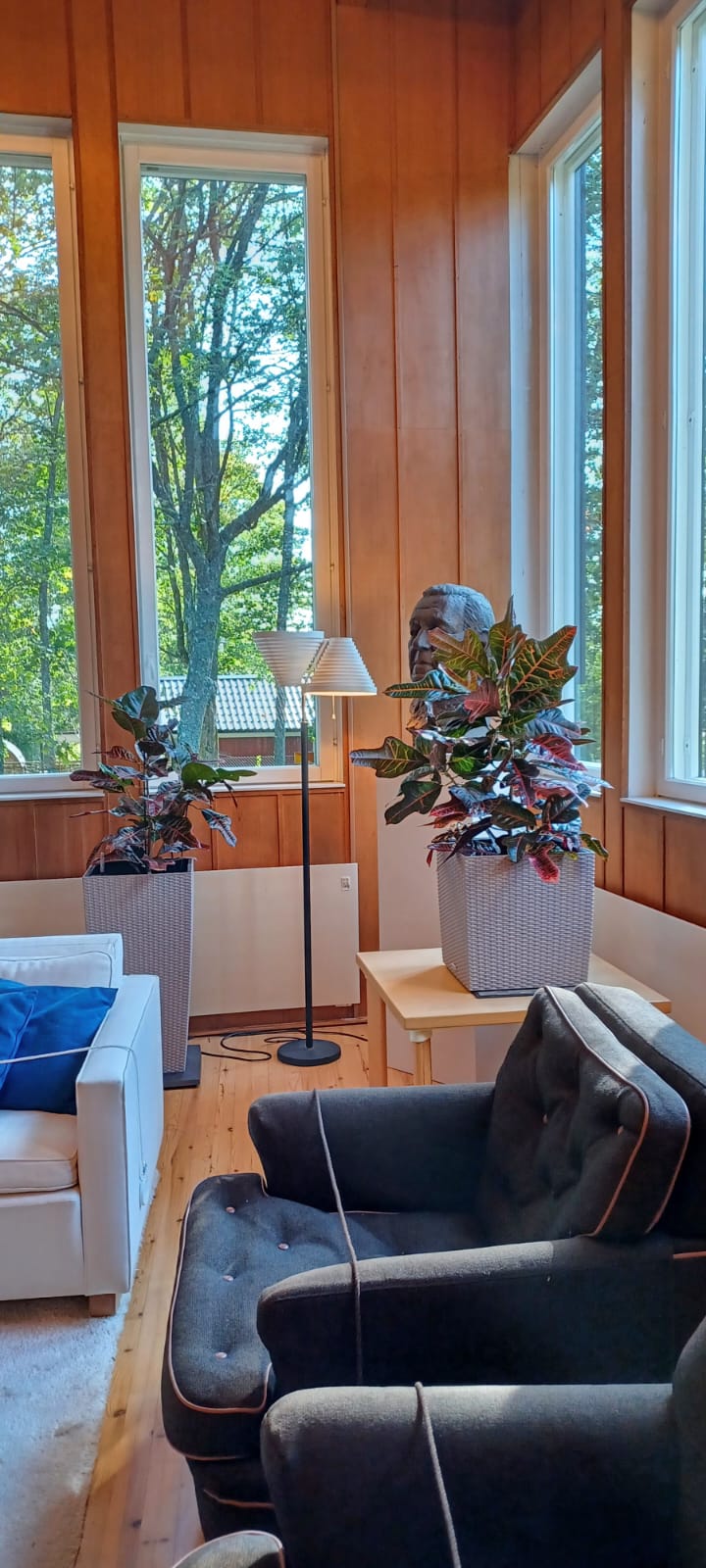 Villa Kokkonen